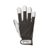 Tergsus Glove