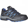 Vistula Trainer S1P