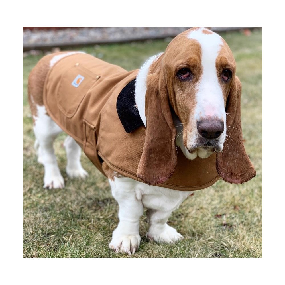 P000340 Dog Chore Coat