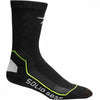 Solid Gear SG30008 Extreme Performance Summer Socks - Coolmax for Summer