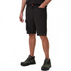 77580 Kensington Shorts