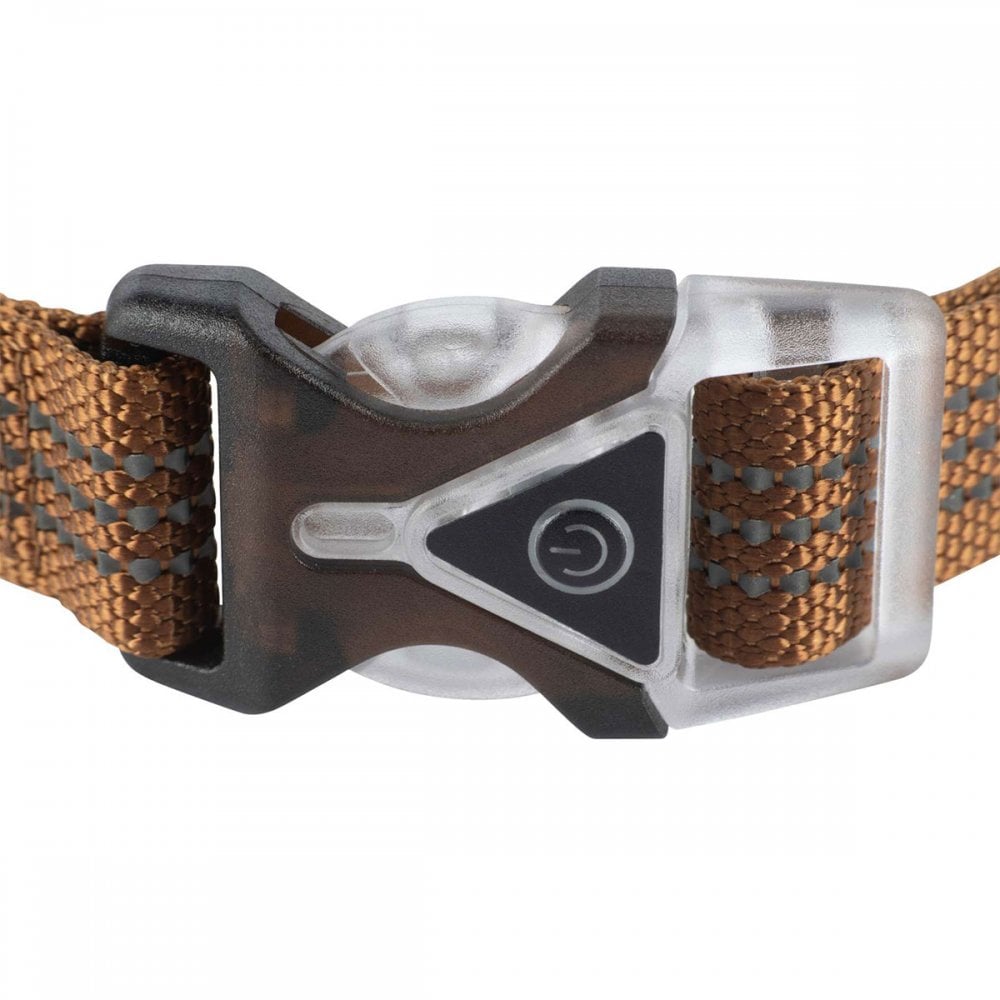 P000345 Lighted Collar