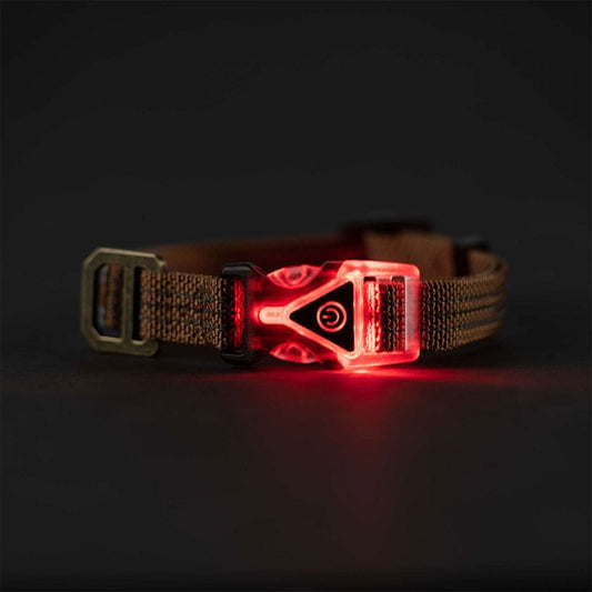 P000345 Lighted Collar