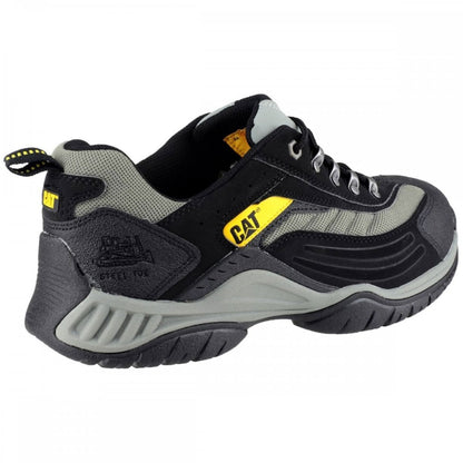 Moor SB Trainers