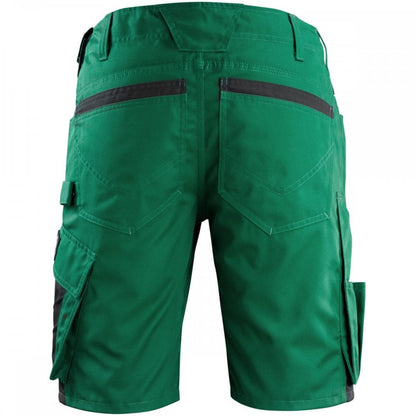 12049 Shorts