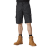 Everyday Shorts