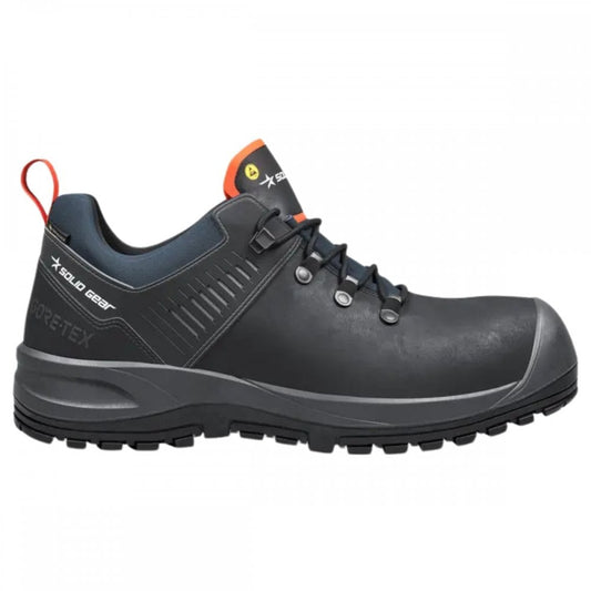 SG73104 Ion GTX Low